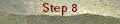 Step 8